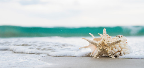 Sea Sunset, Summer background, Travel concept © Vladimir