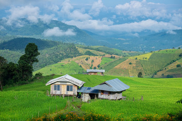 Fototapeta premium Pa Bong Piang Rice Terraces in Mae Chaem, Chiang Mai, Thailand.