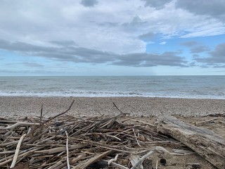 beach and sea