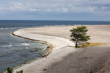 Eroded limestone coastline on the island of Gotland in Sweden
