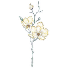 Branch of Yellow Blossom 