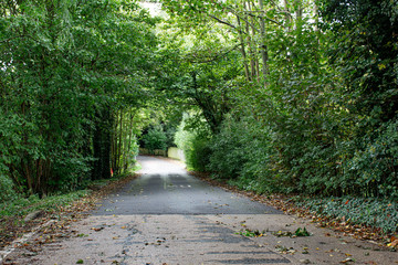 country lane