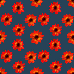 Obraz premium Seamless pattern of asters. Seamless floral pattern of gouache paints on navy background. Beautiful original pattern for design and decoration