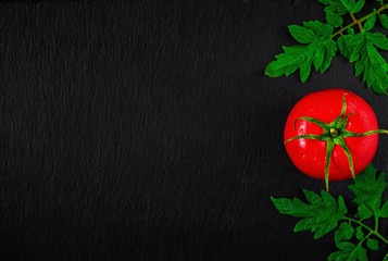 Fresh ripe red tomato in drops of water on a black stone background. Layout with copy space.