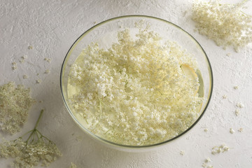 A bowl with elder flowers macerating in water