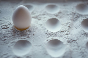 egg
