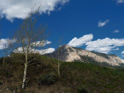 Mt Crested Butte