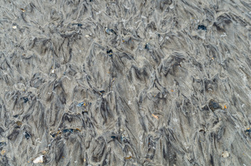 Dark Sand Bold Wind Patterns 3