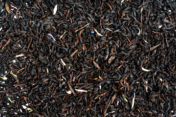 Texture of herbal Floral samples of loose leaf green tea leaves isolated on white background.