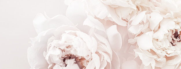 Pastell Pfingstrosenblüten in voller Blüte als Blumenkunsthintergrund, Hochzeitsdekor und luxuriöses Branding-Design