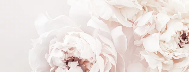 Fotobehang Woonkamer Pastelpioenbloemen in bloei als bloemsierkunstachtergrond, huwelijksdecor en luxe brandingontwerp
