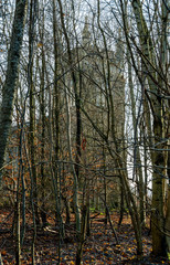 Fototapeta premium A view Bishopton Parish Church, Bishopton, Renfrewshire, Scotland