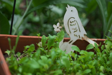 Kräuter Kräutergarten Vogel Metallvogel Dekovogel
Blumenbank Windspiel Hintergrund
