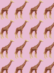 Toy giraffes on a pink background. Toys pattern. Top view.