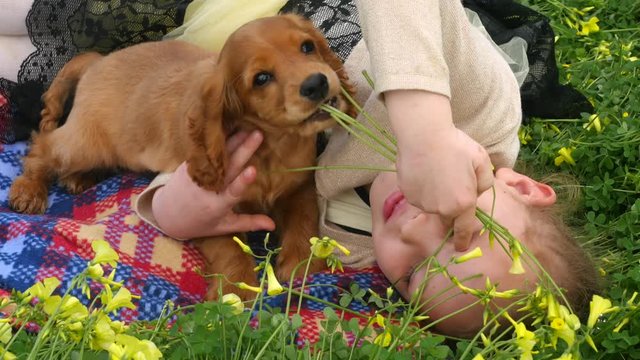 Pretty caucasian girl laying on green grass and caressing cocker spaniel puppy