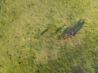 Landscape on mountain Nerone in center of Italy