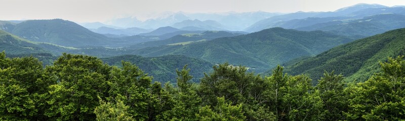 Fototapeta premium Irati Woods in Panorama
