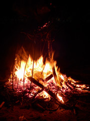 Fire: close up of logs on a bright burning bonfire