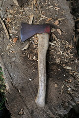 Hatchet on Wooden Log