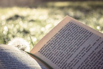 garden book