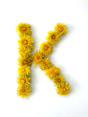 The letter К is made out of dandelion flowers on a white background