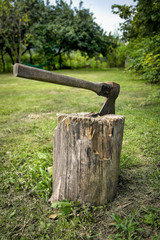 An ax sticking out of a stump in the backyard