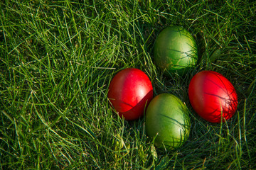 Easter eggs on the grass