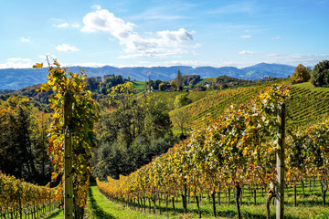 Suchergebnisse
Webergebnisse

Weinbaugebiete | Österreich Wein
