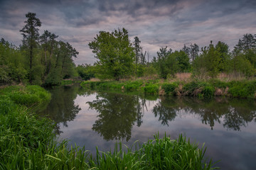 Jeziorka river during cloudy morning at spring near Piaseczno, Poland
