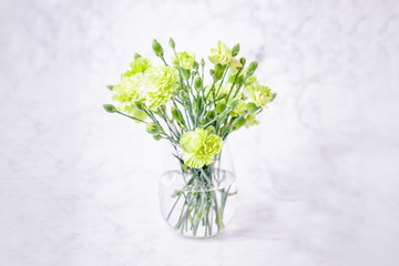 Bouquet of light green carnation flowers on a white marble background