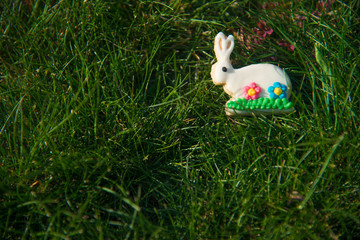 easter bunny on grass