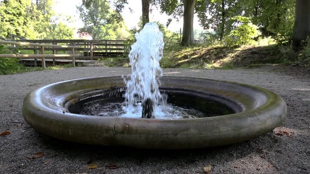 fountain between trees on a sunny day