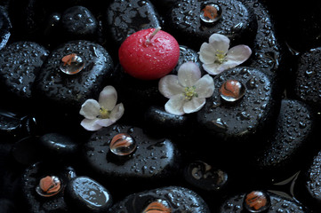 spa still life with stones and orchid