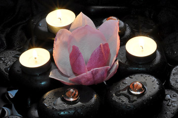spa still life with stones and orchid