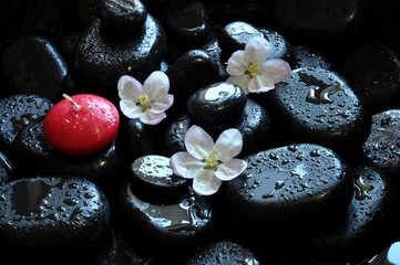 spa still life with stones and orchid