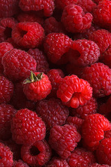 lots of red fresh berries