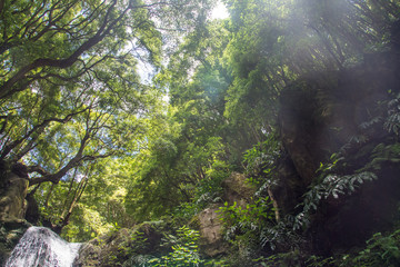 walk and discover the prego salto waterfall on the island of sao miguel, azores