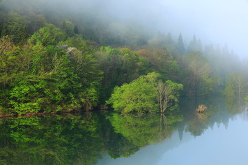 春の錦秋湖
