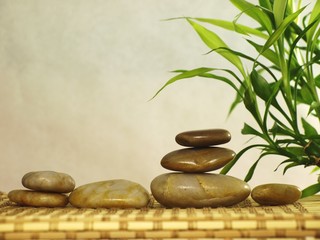 Zen stones with leaves on white background