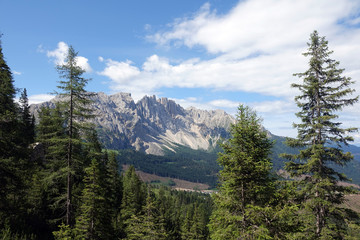 Latemar