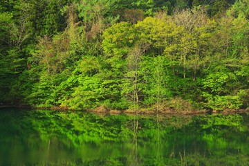 春の錦秋湖