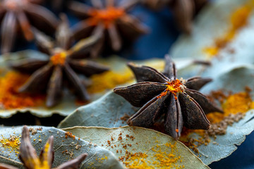 Star anise seeds, bay leaves and colorful spices, closeup