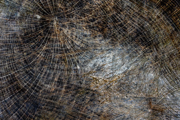 Fototapeta premium wood texture background