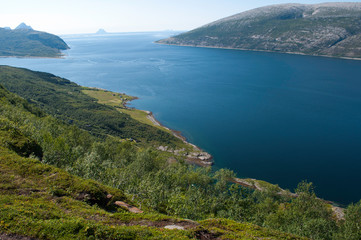 Blue fjord view in Norway