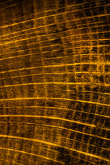 abstract background with space