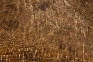 old wood texture