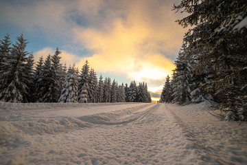 Lonely cross country skier in sunset
