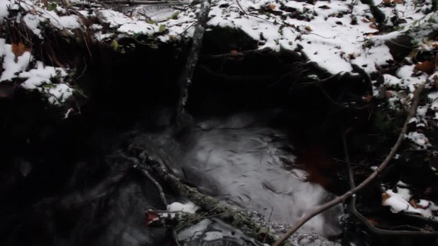 A stream bursts out of the ground in the winter Northern forest, Newly-fallen snow
