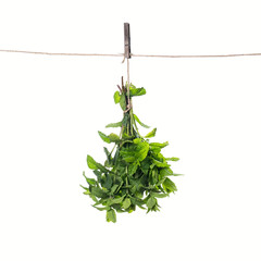Bunch of green fresh mint tied hanging on a rope isolated on white