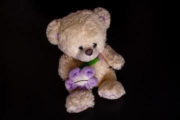 Fluffy teddy bear toy on the black background. Isolated